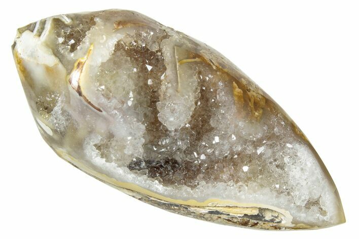 Chalcedony Replaced Gastropod With Sparkly Quartz - India #239287